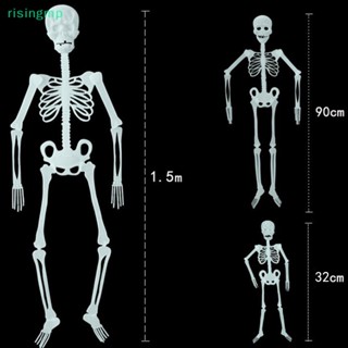 [risingmp] โครงกระดูกมนุษย์ 32 90 150 ซม. สําหรับตกแต่งปาร์ตี้ฮาโลวีน