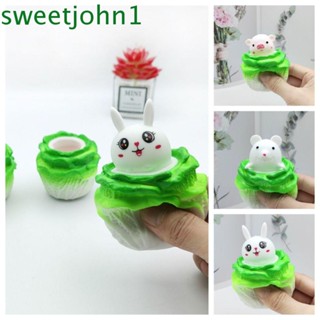 Sweetjohn ของเล่นบีบผัก รูปการ์ตูนกระต่าย หนู หมู ยืดหยุ่น ของขวัญเกมป๊อปอิท