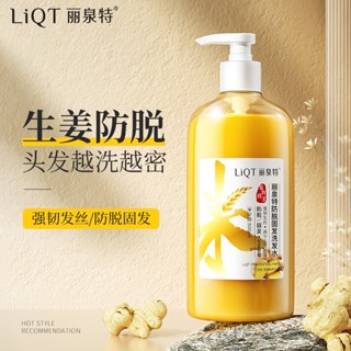 [TikTok พร้อมส่ง] Liquan แชมพู สูตรขิง ใบคามิเลีย ควบคุมความมัน ป้องกันการสูญหาย 500 มล.