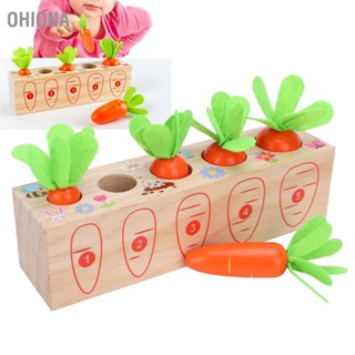 OHIONA Wooden Pull Carrot Game Number Fine Motor Skill Toy Matching Cognitive Early‑Learning Gift