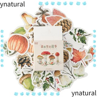 Ynatural สติกเกอร์ รูปเห็ด และป่า หลากสี สําหรับตกแต่งงานศิลปะ งานฝีมือ DIY 184 ชิ้น