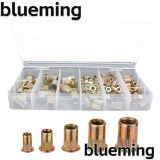 Blueming2 น็อตหัวแบน ชุบสังกะสี M3-8 165 ชิ้น