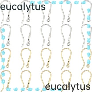 Eucalytus1 ตะขอต่างหู สเตนเลส สีทอง สีเงิน ชุบทอง จี้ สําหรับทําเครื่องประดับ ต่างหู ตะขอ อุปกรณ์เครื่องประดับฝรั่งเศส