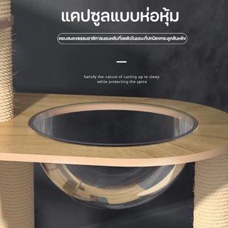 BHQ คอนโดแมวหลังใหญ่หลายดีไซน์ ไม้สวยไร้เหลี่ยมคม คอนโดไม้ ที่นอนแมว คอนโดแมวไม้ มินิมอล
