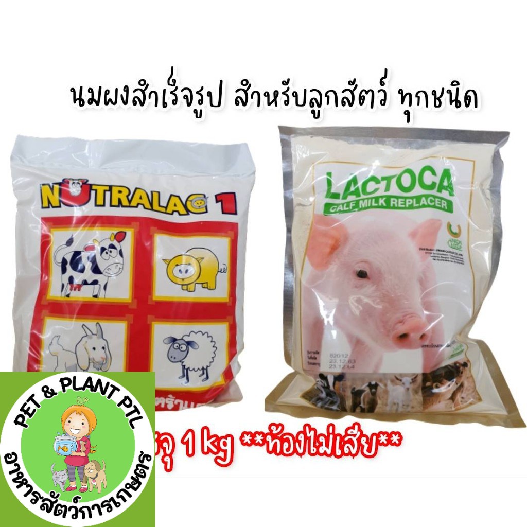 นมสัตว์ Lactoca แลคโตคา นูตร้าแลค นมเข้มข้น ไม่ท้องเสีย บรรจุ 1 กก.