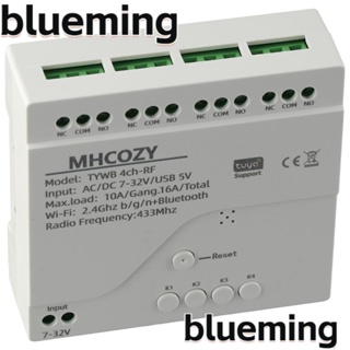 Blueming2 โมดูลสวิตช์รีเลย์ AC85-250V พลาสติก ทองแดง WIFI RF ขนาดพกพา สีขาว พร้อมรีโมตคอนโทรล