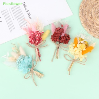 (Plusflower) กล่องดอกไม้แห้ง ขนาดเล็ก สําหรับตกแต่งบ้าน งานแต่งงาน วันเกิด 1 ชิ้น