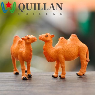 Quillan โมเดลฟิกเกอร์กระจก สําหรับตกแต่งสวน 2 6 10 ชิ้น