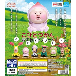 [Tongmeng] โมเดลฟิกเกอร์ Qualia Gashapon Farm Elf แฮนด์เมด พร้อมส่ง XGZ