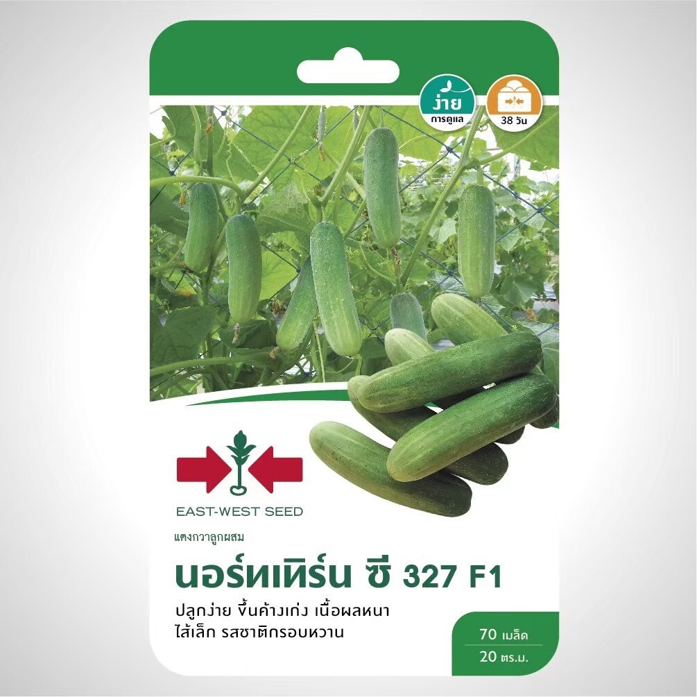 รวมผักศรแดงF1 (ศรแดงชุดที่ 2) ผักซอง มีให้เลือก 29 ชนิด ฟักทอง กะเพรา พริก ผักชี ข้าวโพด มะละกอ - รูปที่ 3