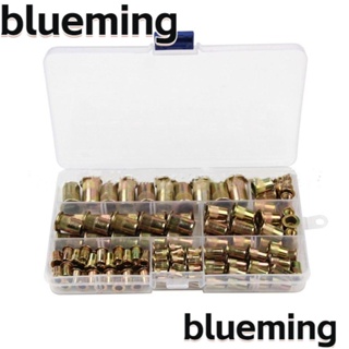 Blueming2 ชุดหมุดย้ํา เหล็กคาร์บอน ชุบสังกะสี 6 ขนาด M3 M4 M5 M6 M8 M10 175 ชิ้น