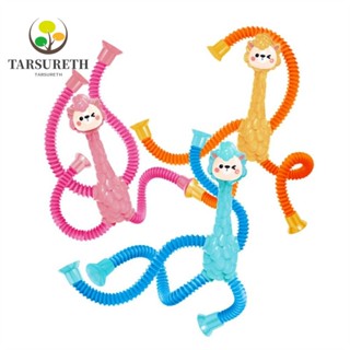 Tarsureth ของเล่นท่อสปริงเรืองแสง บรรเทาความเครียด เพื่อการศึกษา สําหรับเด็ก