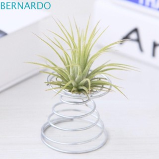 Bernardo ฐานวางไข่ สับปะรด แบบสปริง สเตนเลส ขนาดเล็ก สีเงิน ใช้ง่าย 3 ชิ้น ต่อชุด