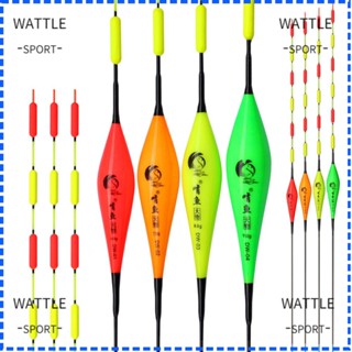 Wattle อุปกรณ์ตกปลา ทุ่นลอยน้ํา ปลายยาว สําหรับตกปลา