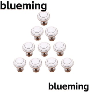 Blueming2 ลูกบิดตู้เสื้อผ้า เซรามิค สีเงิน สีขาว 10 ชิ้น พร้อมสกรูยึด 10 ชิ้น DIY