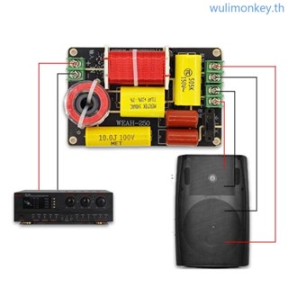Wu WEAH ตัวแบ่งความถี่เสียงแหลม เบส 2 ทาง 250 250W ปรับได้