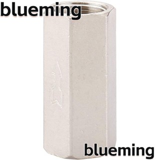 Blueming2 วาล์วทางเดียว ตัวเมีย สีเงิน ทองเหลือง 3/8 PT ทนทาน กันน้ํามัน