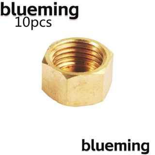 Blueming2 จุกปิดปลายท่อน้ํา ทองแดง สีทอง แบบพกพา 10 ชิ้น