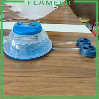 [Flameer] เครื่องฟักไข่อัตโนมัติ สําหรับนกพิราบ ไก่