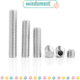 WISDOMEST สกรูซ็อกเก็ต สกรูดรัป M4 หัวอัลเลน หกเหลี่ยม ภายใน 201 สเตนเลส สําหรับก๊อกน้ํา 100 ชิ้น