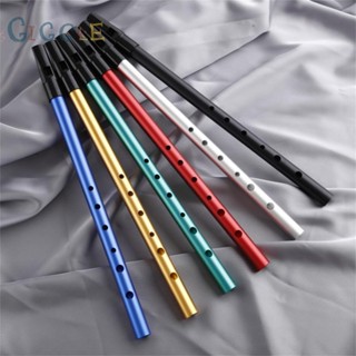 ⭐NEW ⭐Professional grade Irish Tin Whistle C and D Key Versatile Reliable and Resonant