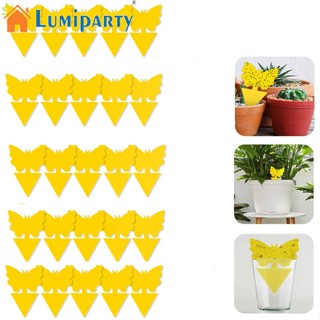 Lumiparty กาวสองด้าน รูปผีเสื้อ สีเหลือง สําหรับคนรักดอกไม้ สวน 25 ชิ้น