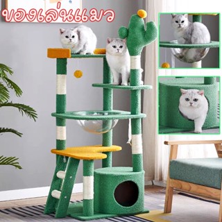 😸พร้อมส่ง😸 5ชั้น เสาลับเล็บแมวได้ 5in1เตียงแมว ของเล่นแมว บ้านแมว 55~155cm