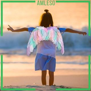 [Amleso] เครื่องแต่งกายปีกคริสต์มาส