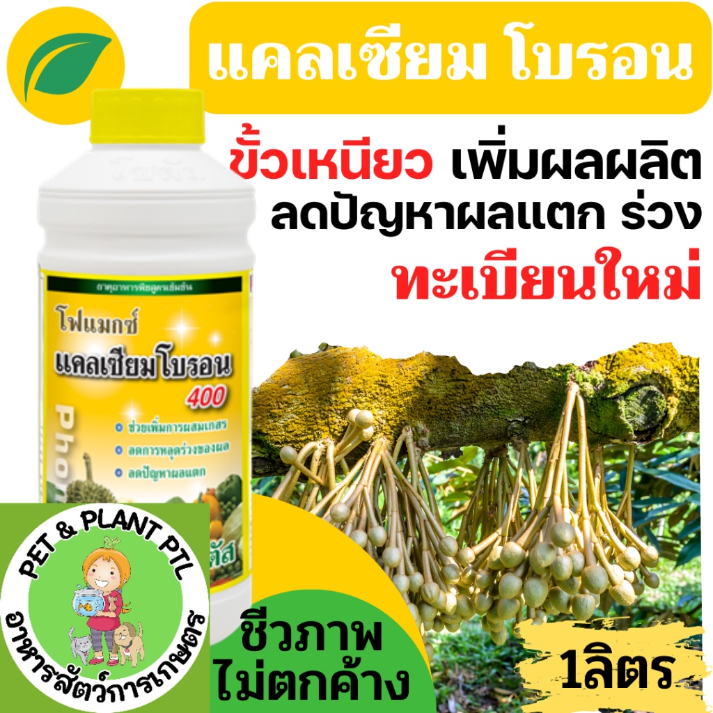 [1ลิตร] แคลเซียมโบรอน สูตรคีเลต ธาตุอาหารพืชสูตรเข้มข้น สีสด เนื้อแน่น ขั้วเหนียว ป้องกันผลแตก