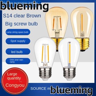 Blueming2 หลอดไฟ LED ST45 1W 2W 27 2700K แสงสีขาวอบอุ่น