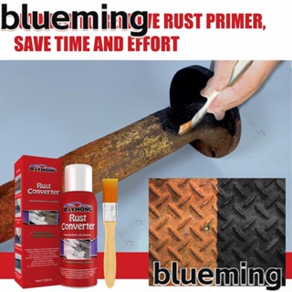 Blueming2 ไพร์เมอร์ป้องกันสนิม สําหรับทําความสะอาดผิว โลหะ เหล็ก