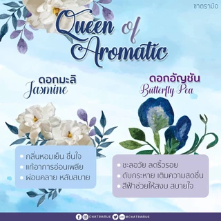 ชาตรามือ ชามะลิ ชนิดกระป๋องซองเยื่อ ขนาด 30 กรัม