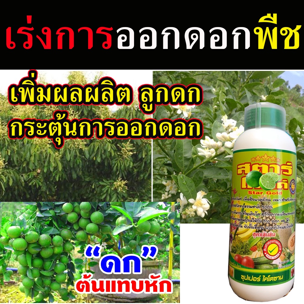 ยาเร่งผลดก (ออกผลนอกฤดู 100% ) 1 ลิตร สารกระตุ้นดอก ออกผล สารเร่งดอกผล ยาเร่งดอกและผล ยาเร่งดอกผลไม้ สารเร่งดอกไม้