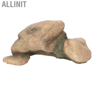 Allinit Fish Tank Stone Ornament Decoration Unique Realistic for Small  Hiding Place