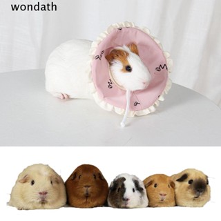 Wonda ปลอกคอกรวย ขนาดเล็ก น่ารัก สําหรับสัตว์เลี้ยง หนูตะเภา