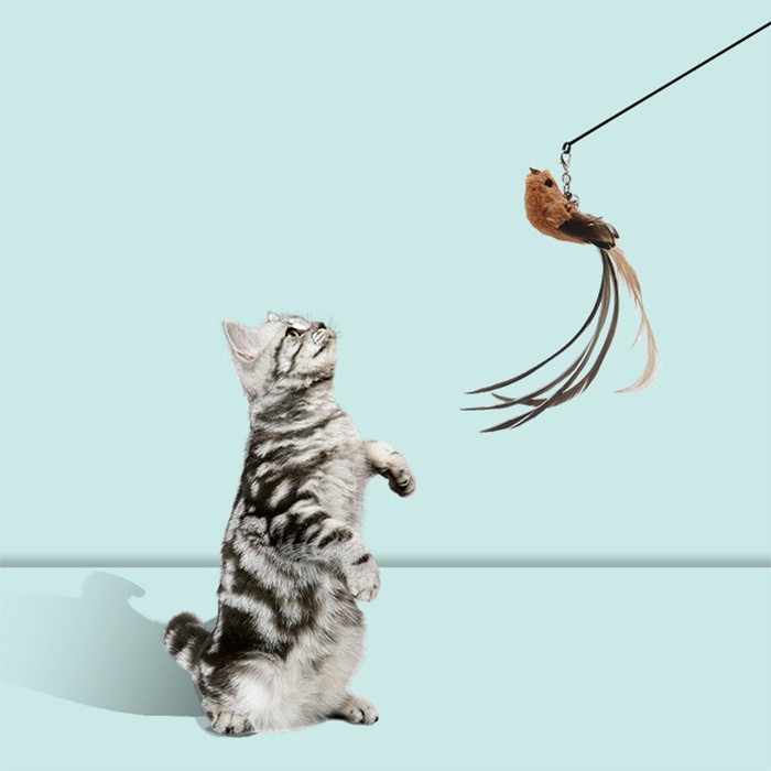 【CDDMPET】ไม้ตกแมวขนนกติดพื้น ของเล่นแมว มีกระดิ่ง ก้านยาว แบบปุ่มดูดสุญญากาศ ถอดออกได้ - รูปที่ 3