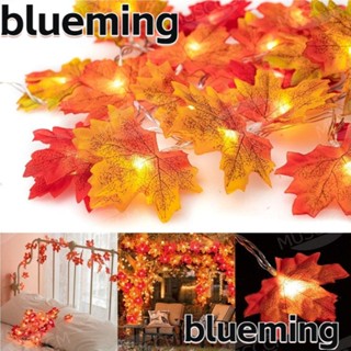 Blueming2 สายไฟ LED 40 ดวง รูปใบเมเปิ้ล สีขาวอบอุ่น 16.4 ฟุต เสียบ USB สําหรับตกแต่งสวน ในร่ม