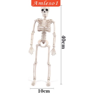 [Amleso1] โมเดลโครงกระดูกมนุษย์ แบบพกพา อุปกรณ์ประกอบฉากฮาโลวีน สวน การเรียนรู้ การช่วยสอน