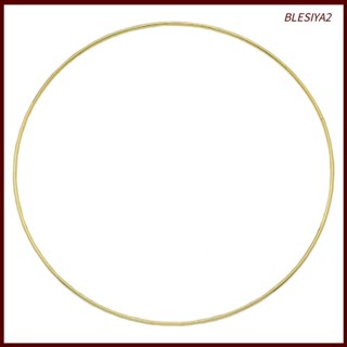 [Blesiya2] พวงหรีดดอกไม้โลหะ สําหรับแขวนตกแต่งงานแต่งงาน