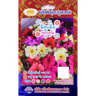 เมล็ดดอกพิทูเนีย petunia MT/FW-39 เมล็ดพันธุ์ดอกไม้ เมล็ดดอก…