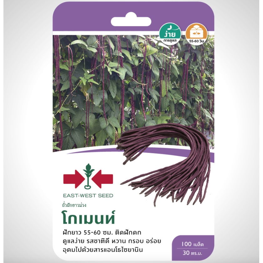 ถั่วฝักยาวม่วง โกเมนท์ SD/F1-034 ผักซองศรแดงF1 เมล็ดพันธุ์ เมล็ดพันธุ์ลูกผสม เมล็ดพันธุ์ผัก ผักศรแดง