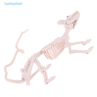 【tuilieyfish】กระดูกพลาสติก รูปโครงกระดูก น่าขนลุก สําหรับตกแต่งฮาโลวีน【IH】