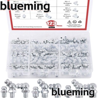 Blueming2 ชุดข้อต่อจาระบีไฮดรอลิก เหล็กสังกะสี 90 องศา 45 องศา สีเงิน M6 M8 M10 123 ชิ้น