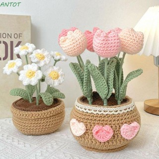 Antot ชุดกระถางดอกไม้ ดอกทิวลิป หลากสี สําหรับถักโครเชต์ แฮนด์เมด DIY