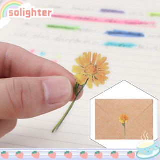 Solighter สติกเกอร์ฉลาก PET ลายดอกไม้ ใช้ง่าย สําหรับตกแต่ง