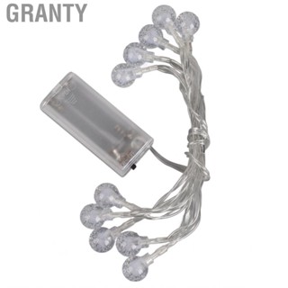 Granty Globe String Light  Powered Type Colored  Bulb Decoration