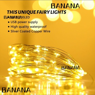 Banana1 สายไฟหิ่งห้อย LED 200 ดวง 66 ฟุต 8 โหมด ปลั๊ก USB สีเงิน พร้อมรีโมตคอนโทรล และตัวตั้งเวลา สําหรับตกแต่งปาร์ตี้ 2 แพ็ค