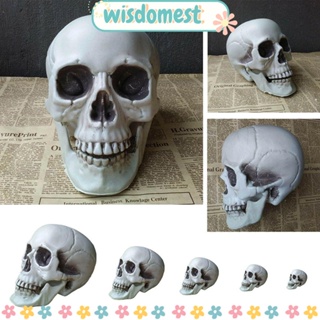 WISDOMEST พร็อพหัวกะโหลก สําหรับตกแต่งปาร์ตี้ฮาโลวีน 1 ชิ้น