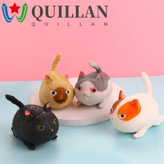 Quillan ของเล่นบีบ รูปแมวโกรธน่ารัก ขนาดเล็ก คลายเครียด สําหรับเด็ก และผู้ใหญ่