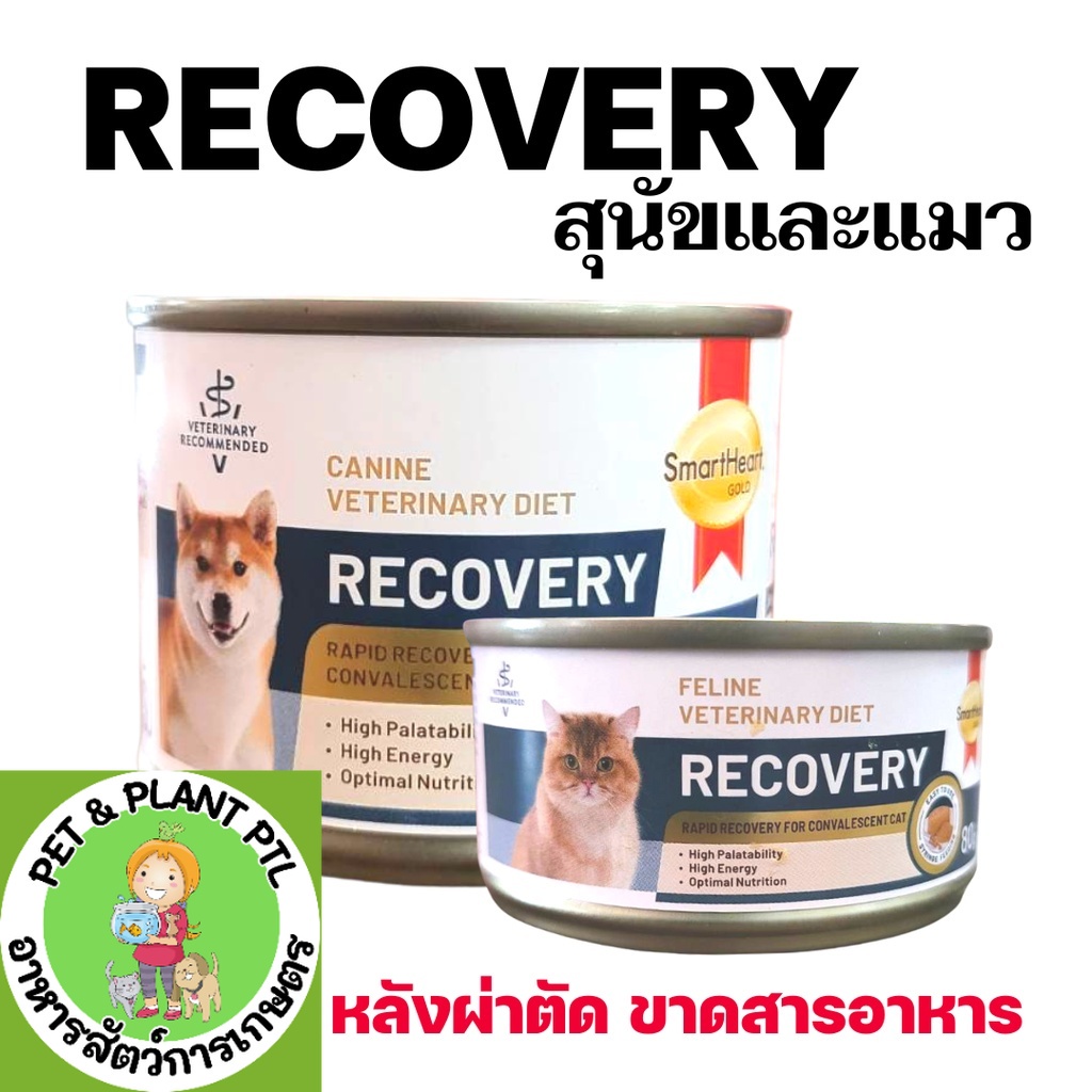 [1กระป๋อง] Smartheart Recovery อาหารเปียก สำหรับสุนัขและ แมวป่วยระยะพักฟื้น (Royal canin Recovery)